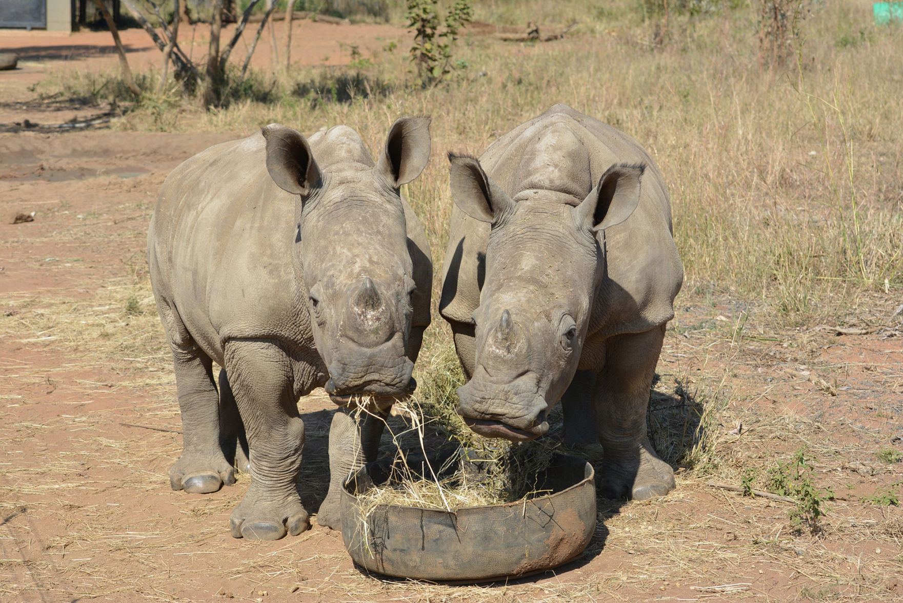 Endangered species funding